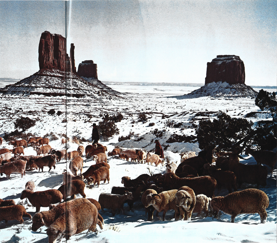 Unwrap Arizona Highways Magazine from December 1978 | Department